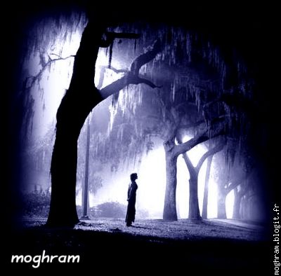 karim.moghram